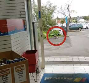 Australia Koala pharmacy - 澳洲留學網 - 傑瑞斯留遊學代辦 JRIS (5) Australia Koala pharmacy - 澳洲留學網 - 傑瑞斯留遊學代辦 JRIS (3)